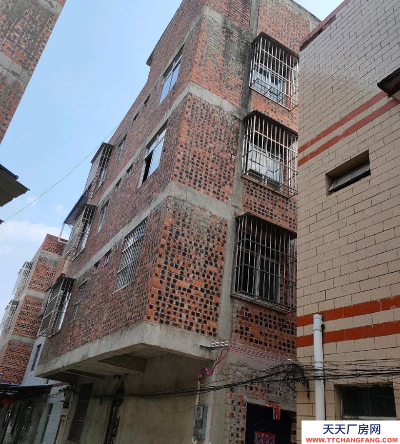 南寧市西鄉塘區(出租) 心圩整棟出租（近小學）