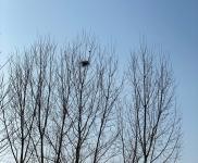 (出租) 宜昌當陽廠房出租配套齊全