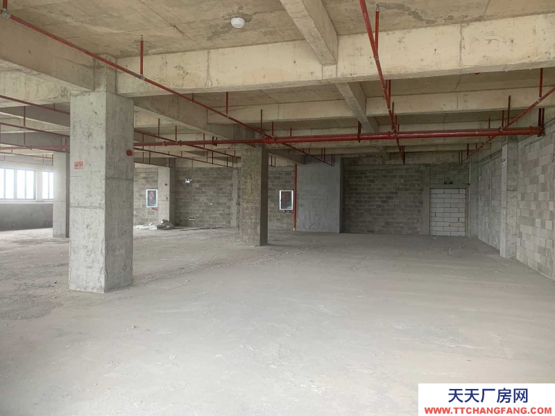 南寧市西鄉塘區(出租) 出租西鄉塘西鄉塘周邊