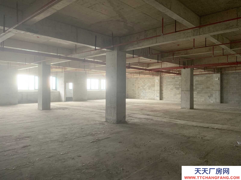 南寧市西鄉塘區(出租) 出租西鄉塘西鄉塘周邊