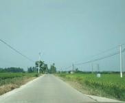 (出租) 宜昌當(dāng)陽廠房、辦公樓、住宿、餐館、停車場(chǎng)、門面招租