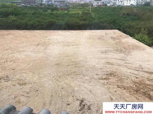 (出租) 230多平方彩鋼瓦,5米多的高!有變壓器一臺!紅河