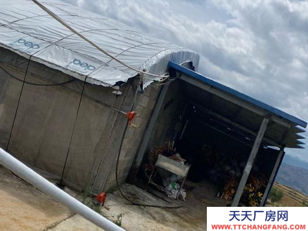 (出租) 紅河自己養雞，了，交通水電都方便，周邊無污染環境