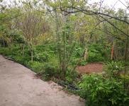 (出售) 宜昌當陽大型廠房,福利院低價出售。