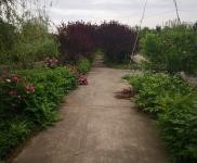 (出售) 宜昌當陽大型廠房,福利院低價出售。