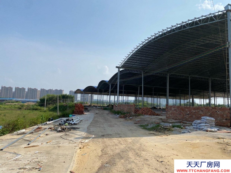 南寧市西鄉(xiāng)塘區(qū)(出租) 出租廠房，蓋好棚，硬化好地板，封好邊