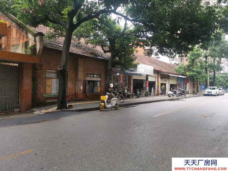 南寧市西鄉塘區(出租) 綜合樓大樓5樓出租，面積483平米。