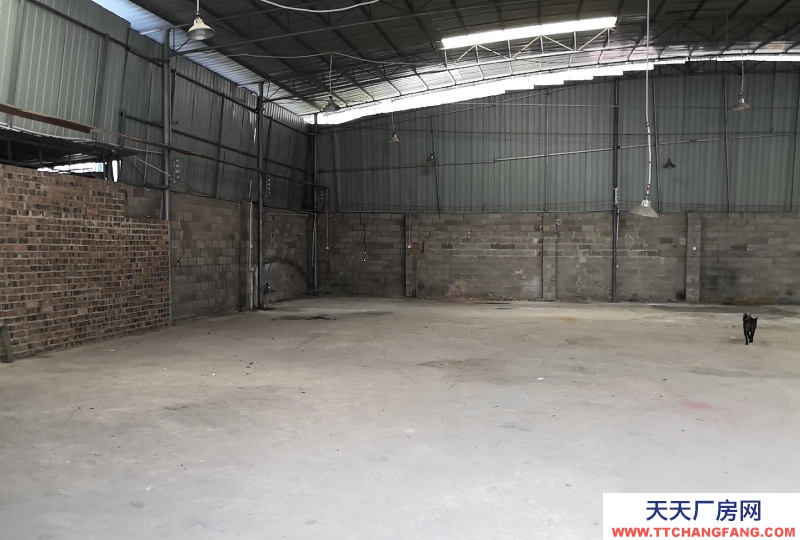 南寧市西鄉(xiāng)塘區(qū)(出租) 鋼結(jié)構(gòu)，位于通塑再生公司旁