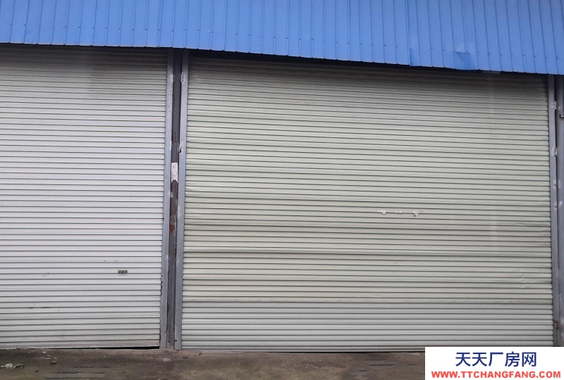 南寧市西鄉(xiāng)塘區(qū)(出租) 鋼結(jié)構(gòu),位于通塑再生公司旁