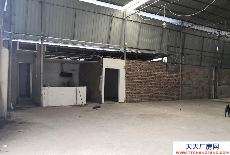 南寧市西鄉(xiāng)塘區(qū)(出租) 鋼結(jié)構(gòu),位于通塑再生公司旁