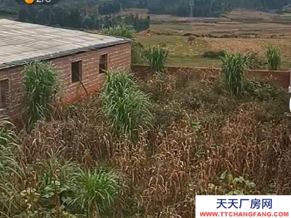 文山(出租) 環保證都有。離城區也遠