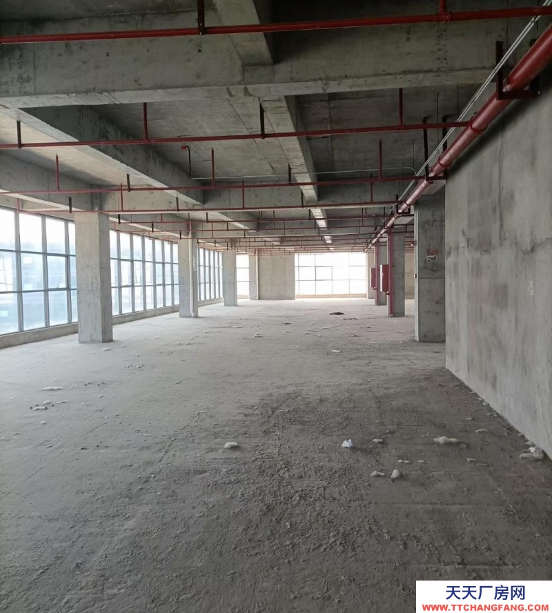 (出租) 瑤海區獨棟廠房16000平招租（中介勿擾）