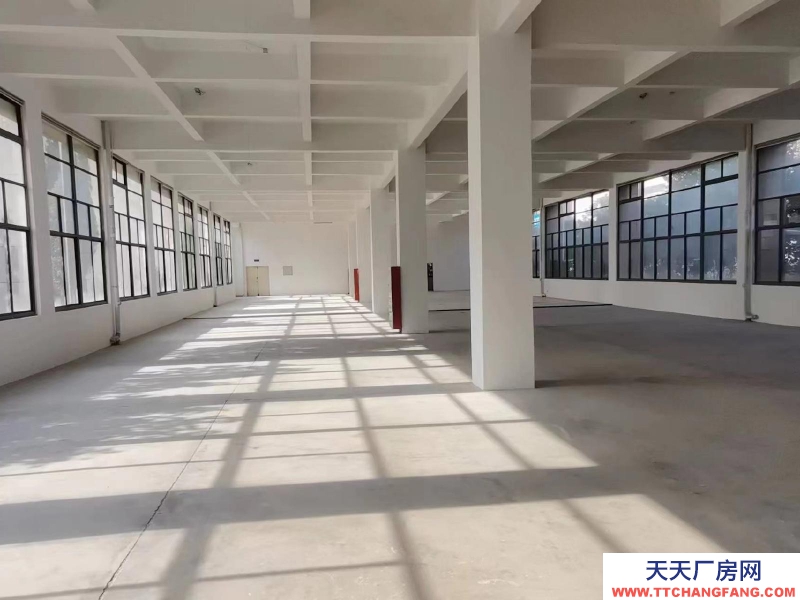 (出租) 合肥瑤海大興鎮周邊3000平標準化廠房招租