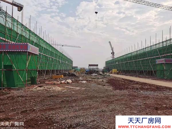 長沙市瀏陽區黃花機場東 稀缺兩層獨棟 標準產業園區