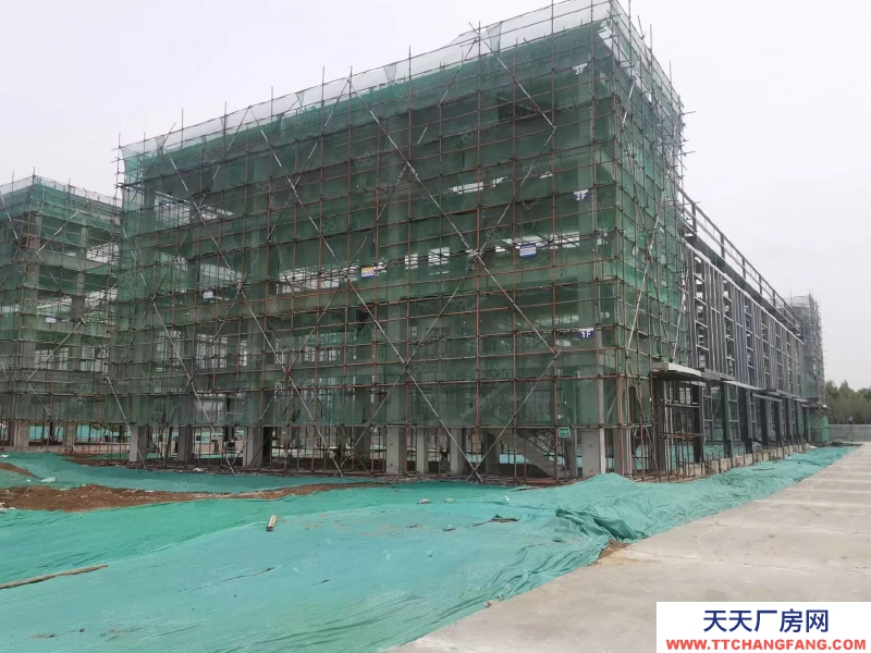 保定 高碑店 京南 單層挑高12米輕鋼廠房 環評寬松 1200至3300平