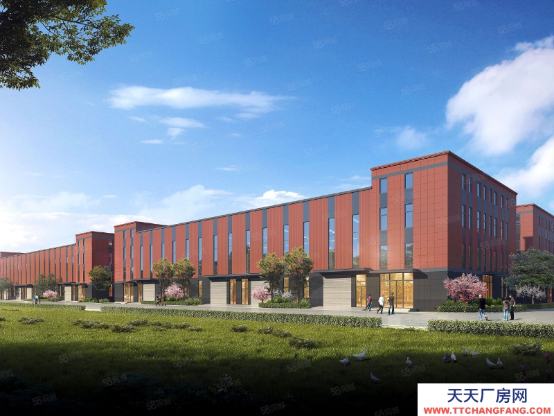 保定 高碑店 京南 單層挑高12米輕鋼廠房 環評寬松 1200至3300平