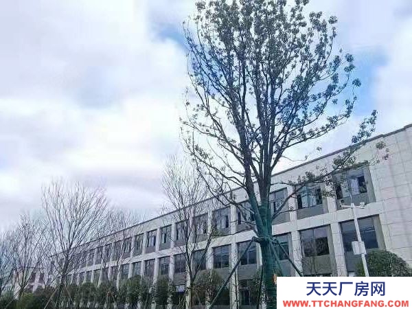 長沙市瀏陽區 2層！3層！獨棟！出售！開發直招！