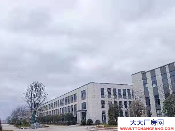 長沙市瀏陽區 2層!3層!獨棟!出售!開發直招!