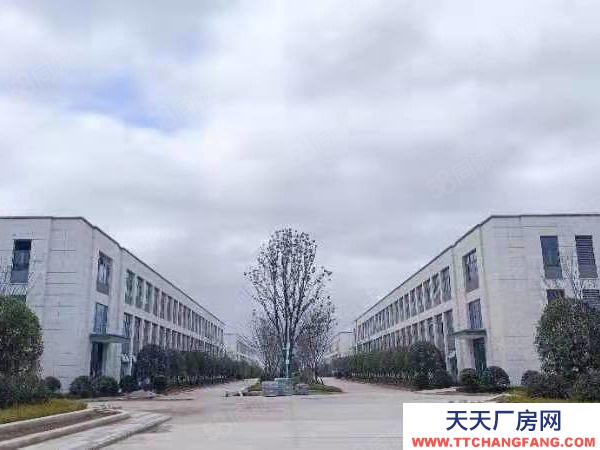 長沙市瀏陽區(qū) 獨棟!大平層2600平,即買即用!開發(fā)直招!可按揭!