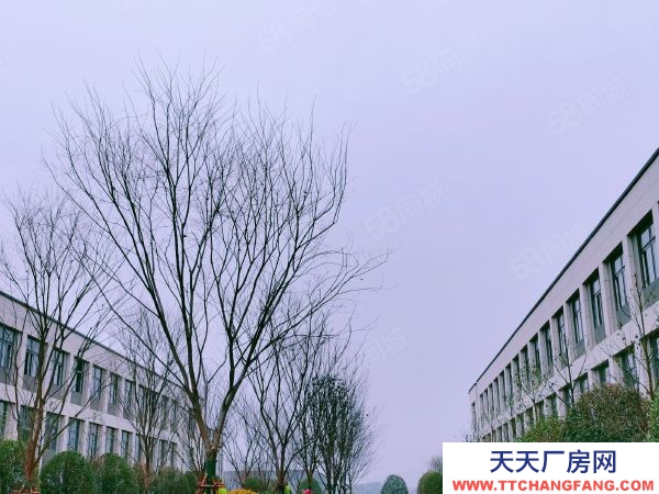 長沙市瀏陽區唯一在售的兩層獨棟廠房，可裝行吊