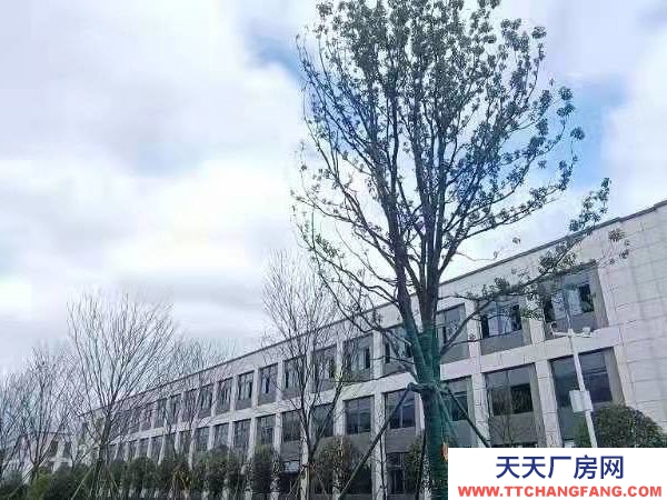 長沙市瀏陽區,1200平,2層獨棟!可按揭!300萬一套。