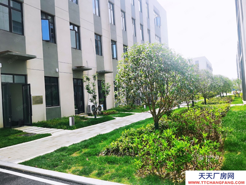 (出售) 合肥瑤海周邊 兩層 小面積獨棟 開發商直售 50年產權 限時特惠