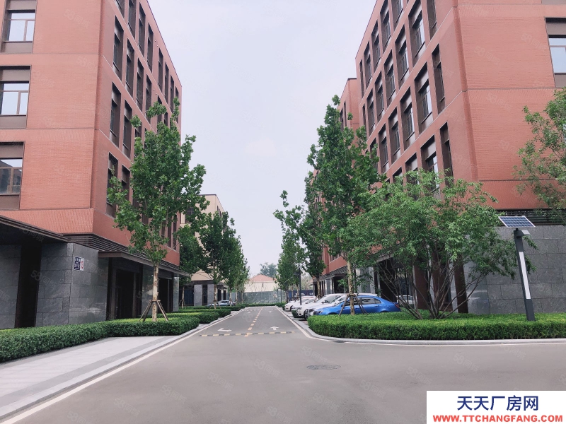 保定 徐水 50年不拆,現(xiàn)房!!!特價(jià)緊此一套,可環(huán)評(píng)通燃?xì)猓?zèng)300平