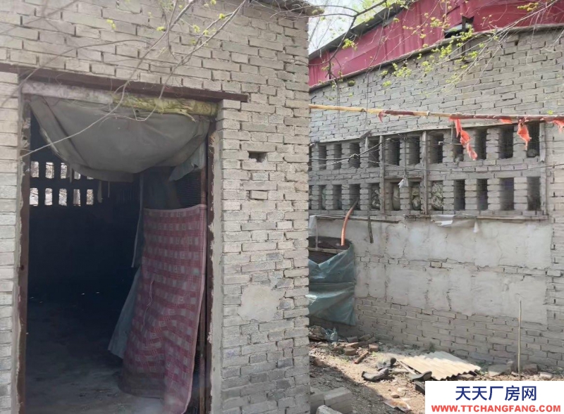 保定 徐水  獨門獨院養(yǎng)殖場，后邊是山。放牧方便，使用權，使用權