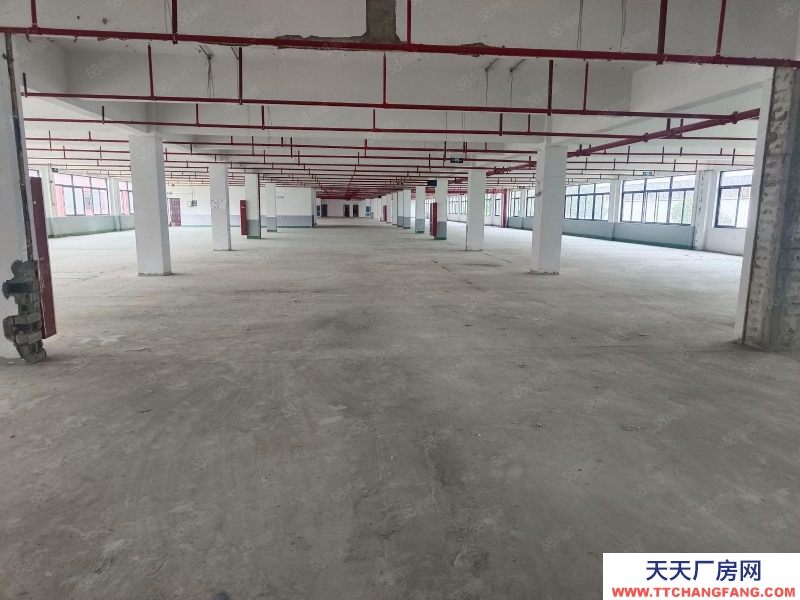 杭州桐廬(出租) 獨門獨院花園式廠房20000方單價9塊起 可分租,空地大