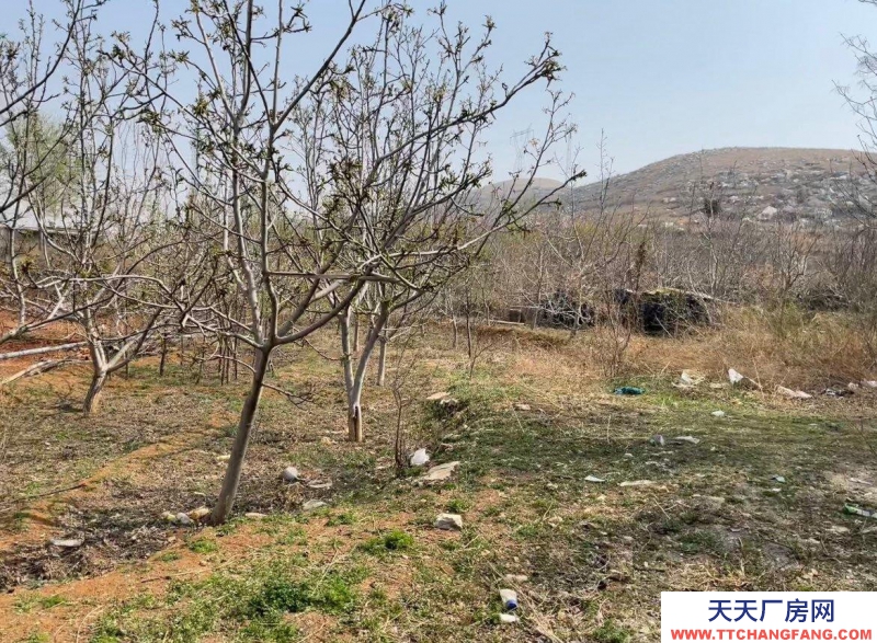 保定 徐水 多方面養(yǎng)殖場地。環(huán)境好。3畝多地，使用權