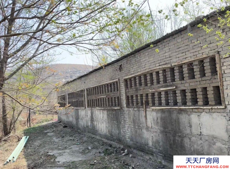 保定 徐水 多方面養殖場地。環境好。3畝多地，使用權