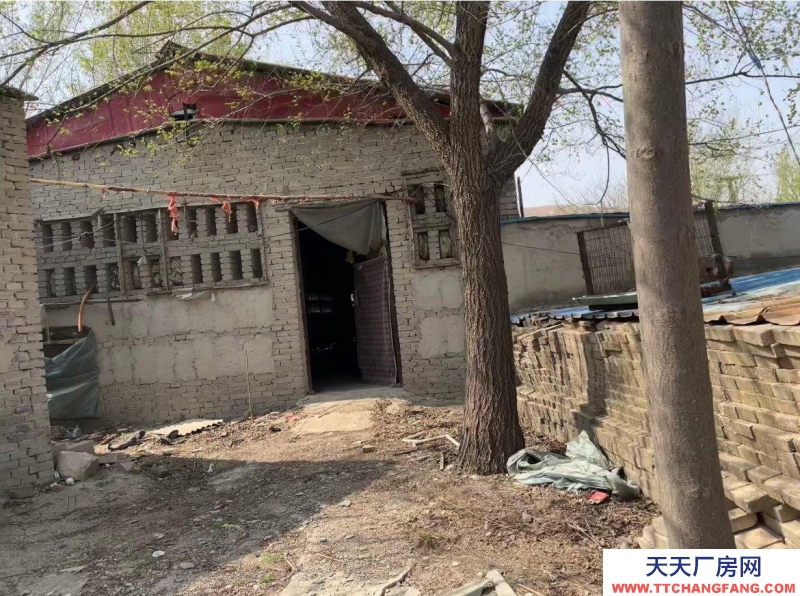 保定 徐水 多方面養殖場地。環境好。3畝多地，使用權