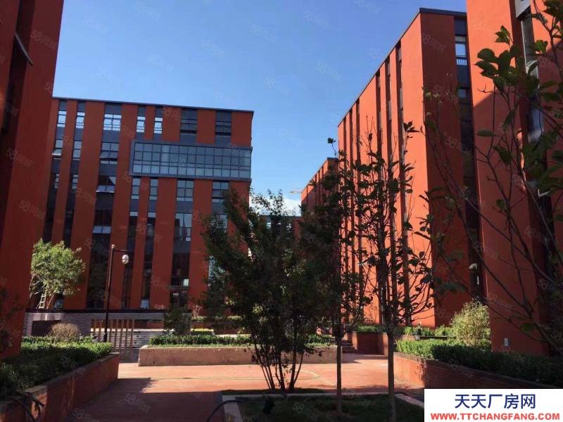 保定 徐水 周邊廠房出租出售，買兩層送一層，定興和谷產業園