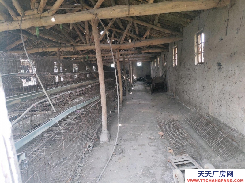 (出租) 適合做輕工業(yè),庫房。門口有河常年有水用水方便。