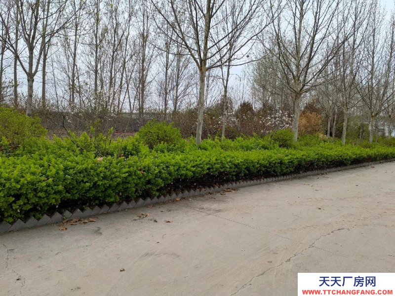 (出租) 保鮮冷藏庫3個／480立方，冷凍庫2個／480立方4800