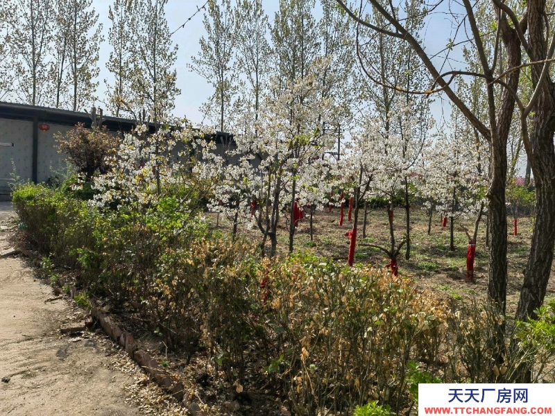 (出租) 保鮮冷藏庫3個／480立方，冷凍庫2個／480立方4800