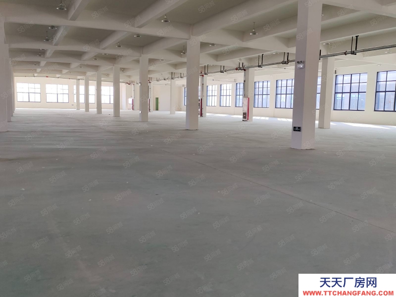 (出租) 合肥長豐雙鳳工業園2400平1200平廠房出租可做食品,可辦環評