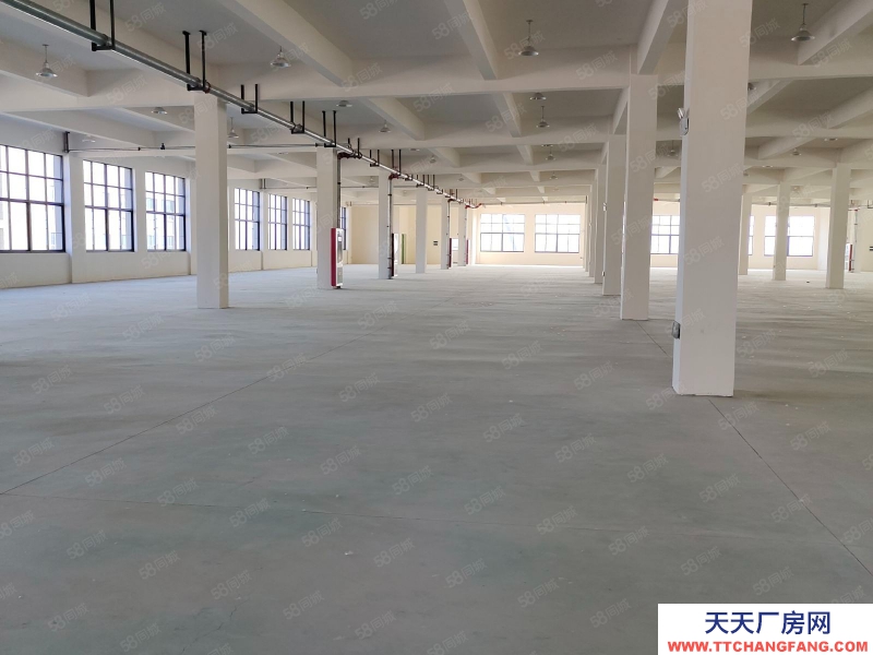 (出租) 合肥長豐雙鳳工業園2400平1200平廠房出租可做食品,可辦環評