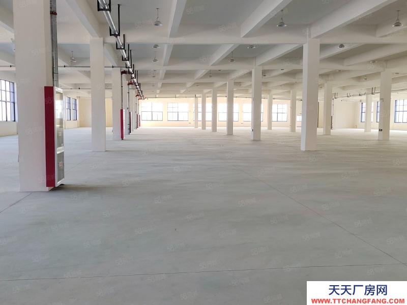 (出租) 合肥長豐雙鳳工業園2400平1200平廠房出租可做食品,可辦環評