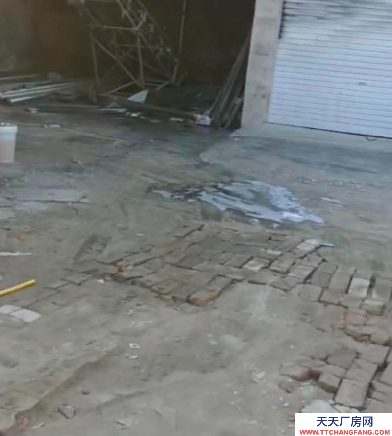 保定 清苑 水電齊全交通方便價格便宜有三相電