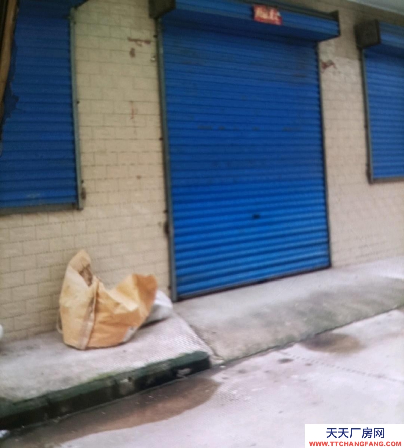 (出租) 東莊村北環(huán)路邊有一庫房出租。