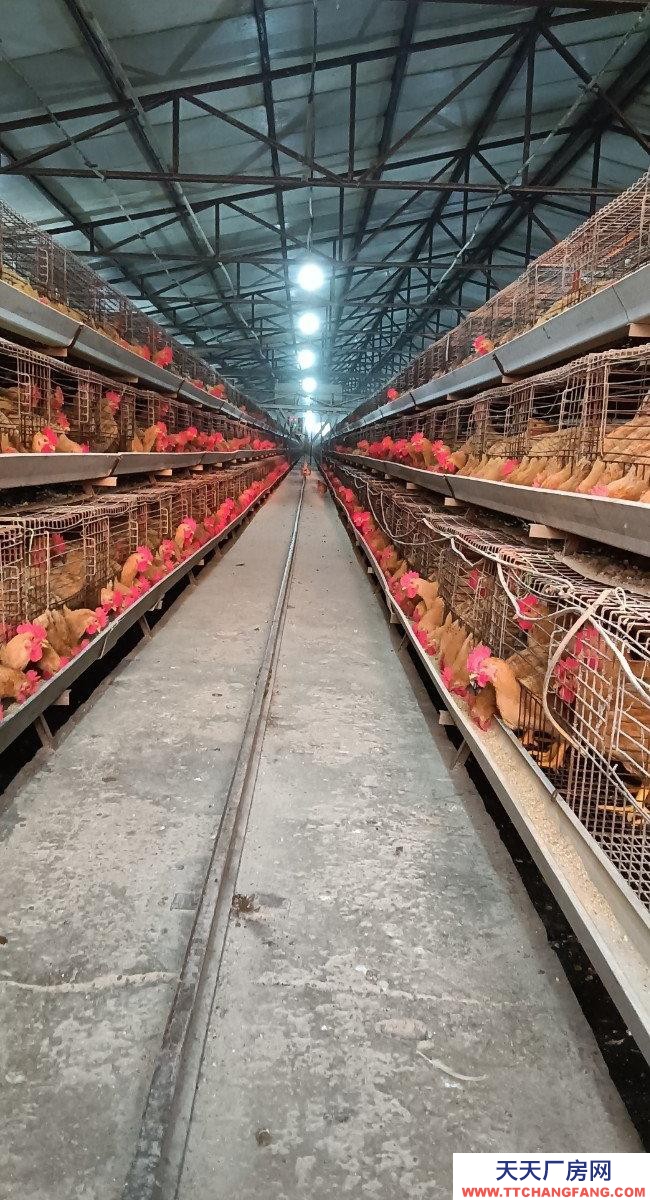 (出租) 由于工作原因忍痛割愛,能優(yōu)惠。