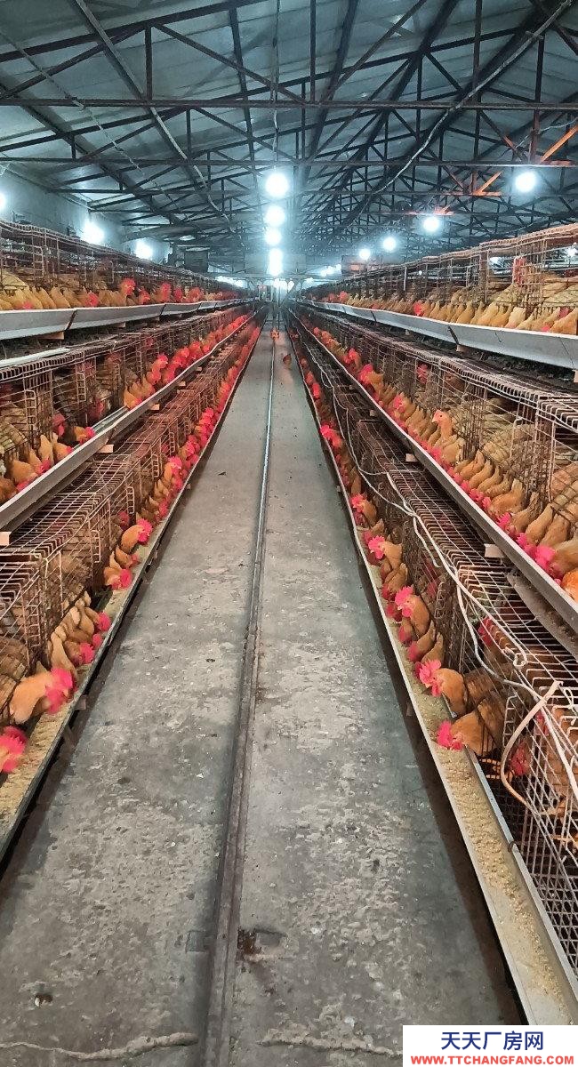 (出租) 由于工作原因忍痛割愛,能優(yōu)惠。