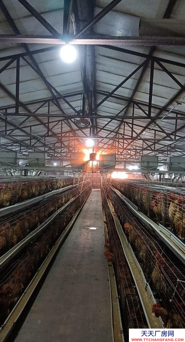 (出租) 由于工作原因忍痛割愛,能優(yōu)惠。