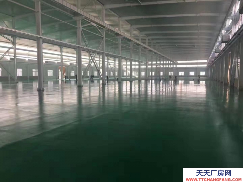 保定 滿城 新建車間廠房多個滿城北外環交通方便河北雪松紙業有限公司院