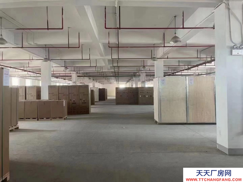 (出租) 樓層：2樓，有貨梯，丙二類 使用范圍：倉儲