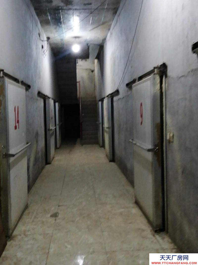 保定 滿城 保鮮庫21個，空地：2000平。