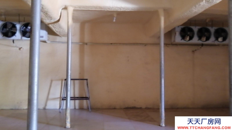 保定 滿城 保鮮庫21個，空地：2000平。