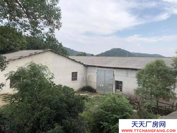 長(zhǎng)沙市長(zhǎng)沙區(qū)跳馬1750平倉(cāng)庫(kù)單價(jià)7元一平出租