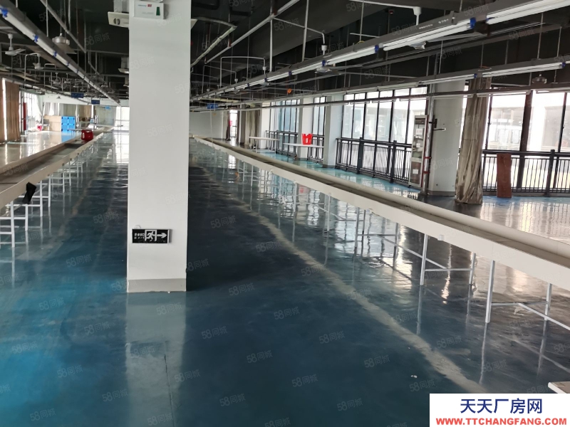 (出租) 合肥 肥東開發(fā)區(qū)標(biāo)準(zhǔn)框架一樓廠房11元出租，